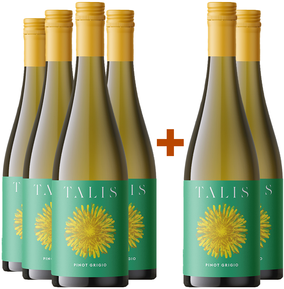 4+2 Talis Pinot Grigio Friuli DOC 4+2 Talis Pinot Grigio Friuli DOC