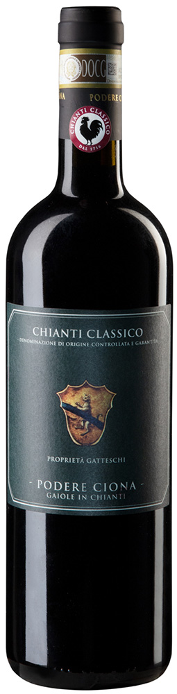 2019 Chianti Classico Annata DOCG