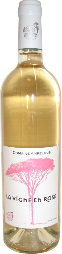 2020 "La Vigne en Rose"