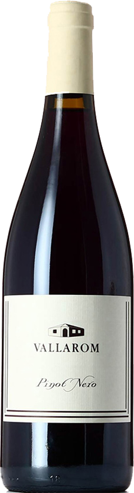 2022 Pinot Nero Vallagarina IGP BIO 2022 Pinot Nero Vallagarina IGP BIO