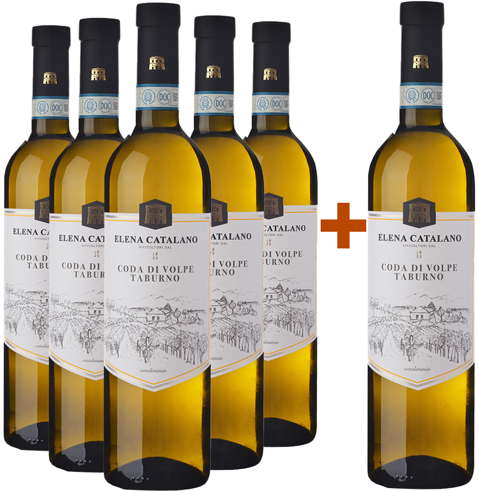 5+1 Coda di Volpe Sannio Taburno DOC 5+1 Coda di Volpe Sannio Taburno DOC