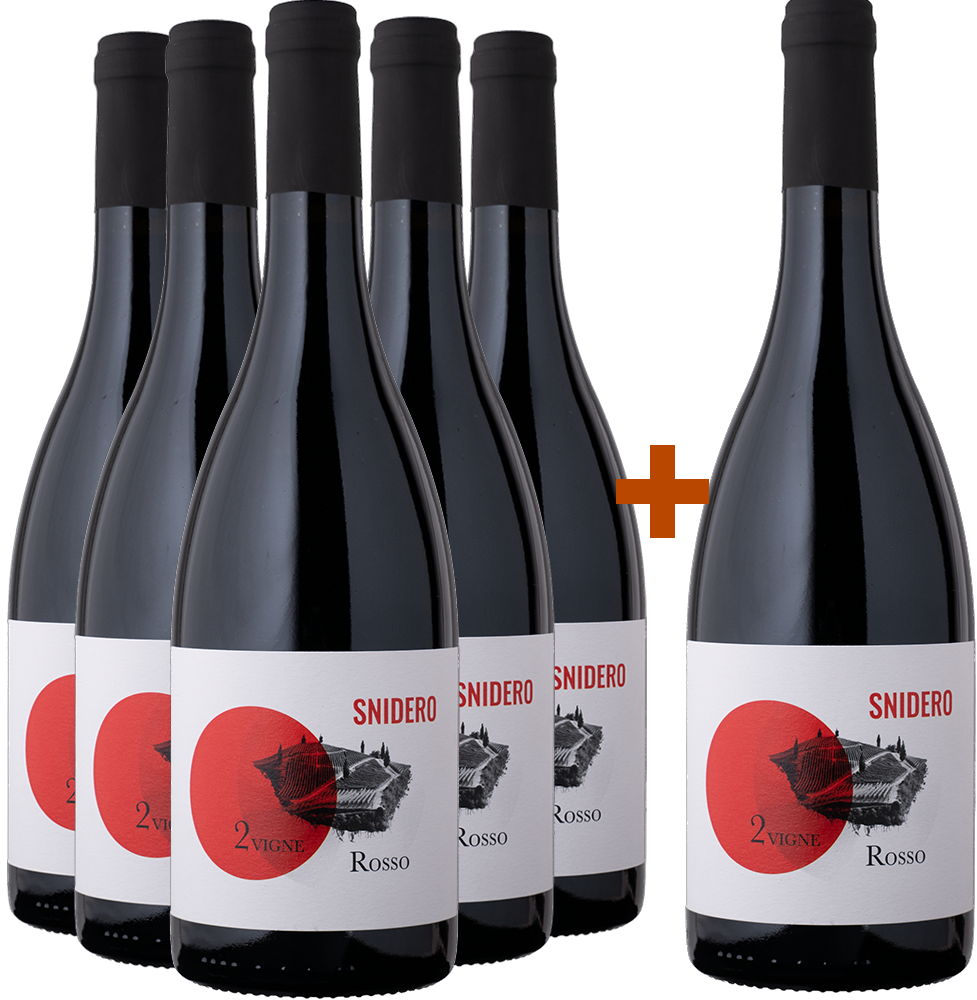 5+1 Rosso Due Vigne Selezione BIO BIO 5+1 Rosso Due Vigne Selezione BIO BIO