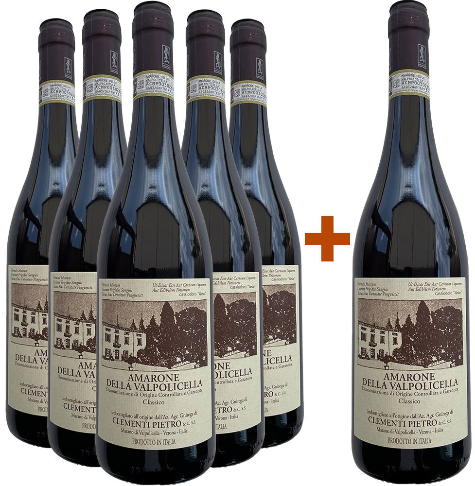 5+1 Amarone della Valpolicella Classico DOCG