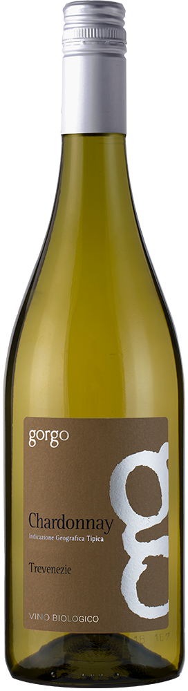 2024 Chardonnay Verona IGP BIO