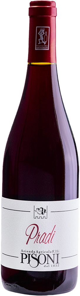 2023 Pradi Teroldego Vigneti delle Dolomiti IGP BIO 2023 Pradi Teroldego Vigneti delle Dolomiti IGP BIO