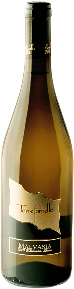 2022 MALVASIA SECCA Frizzante/Torre Fornello 2022 MALVASIA SECCA Frizzante/Torre Fornello