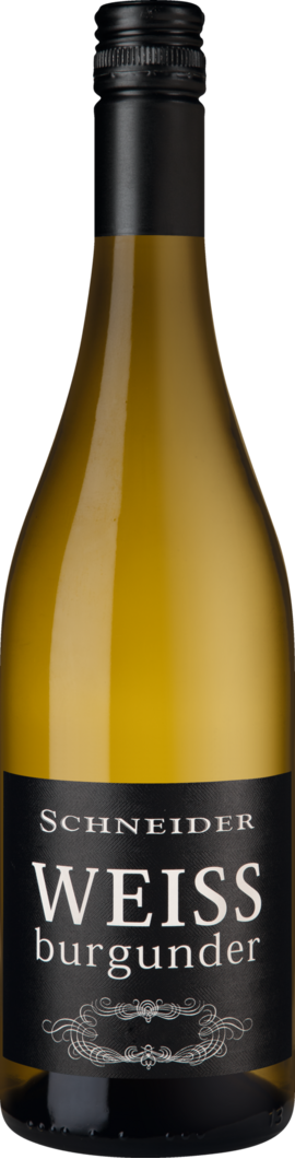 Weingut Markus Schneider 2025 Markus Schneider Weissburgunder