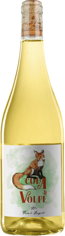 2022 Coda di Volpe Benevento IGP BIO 2022 Coda di Volpe Benevento IGP BIO