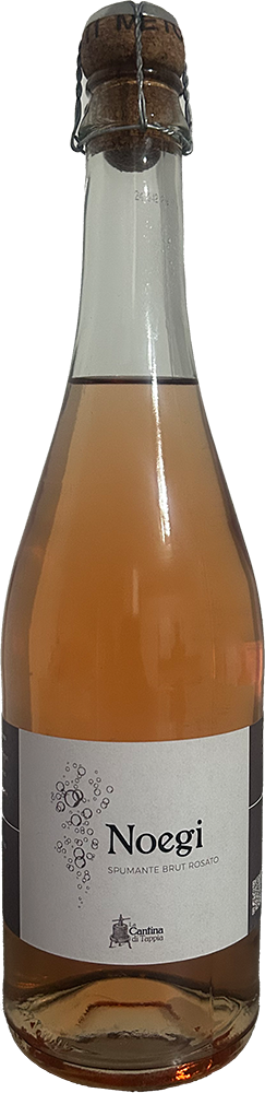 Noegi Merlot Noegi Merlot