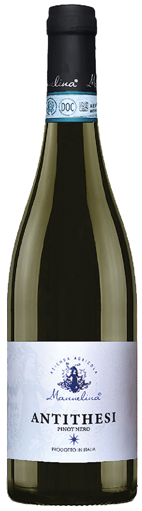 2024 Antithesi Pinot Nero Oltrepó Pavese DOC 2024 Antithesi Pinot Nero Oltrepó Pavese DOC