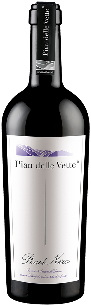 2017 Pinot Nero Vigneti delle Dolomiti IGP