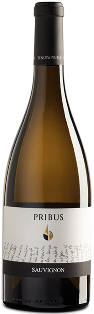 2022 Sauvignon Friuli DOC