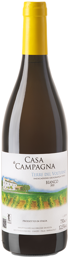 2022 Casa di Campagna Terre del Volturno IGP Bianco 2022 Casa di Campagna Terre del Volturno IGP Bianco