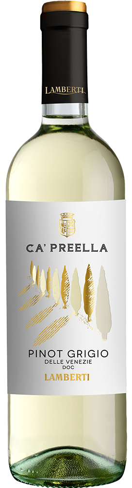 2024 Ca' Preella Pinot Grigio Delle Venezie DOC 2024 Ca' Preella Pinot Grigio Delle Venezie DOC