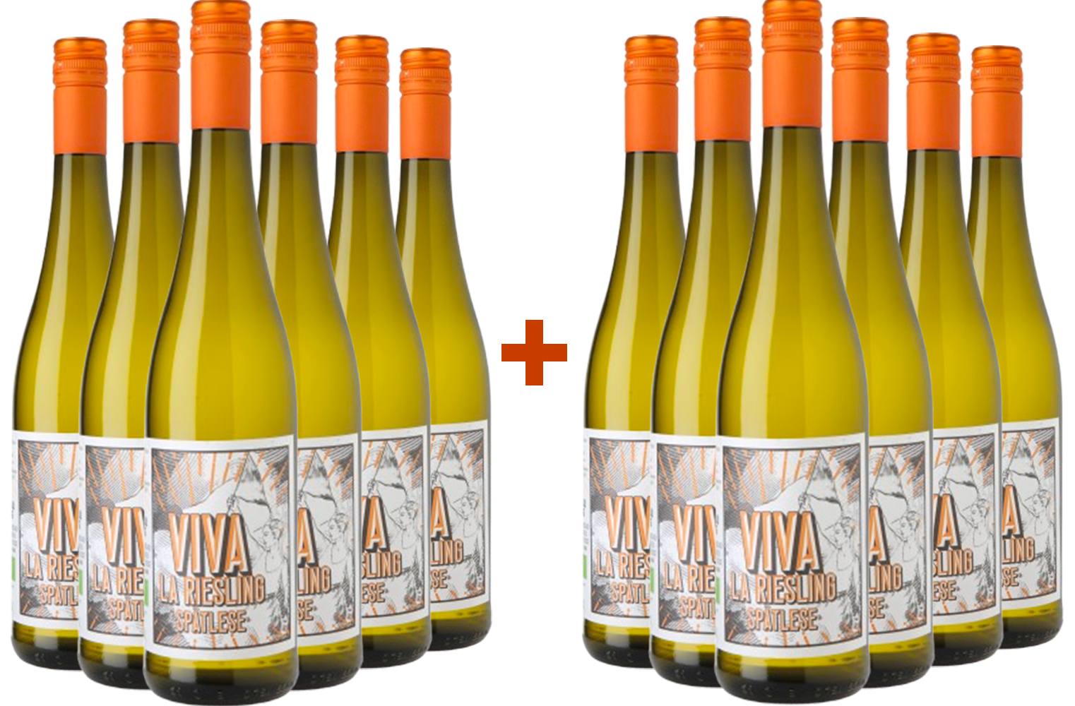 Weingut Hamm 6+6 Paket Viva la Riesling Spätlese BIO BIO