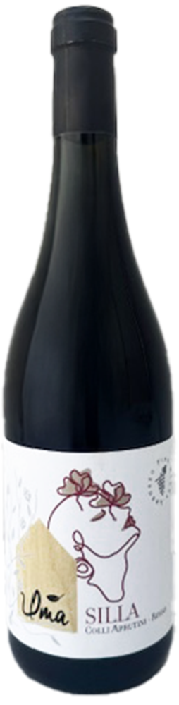 2021 Silla Super Rosso IGP, selected blend Montepulciano and Cabernet Sauvignon
