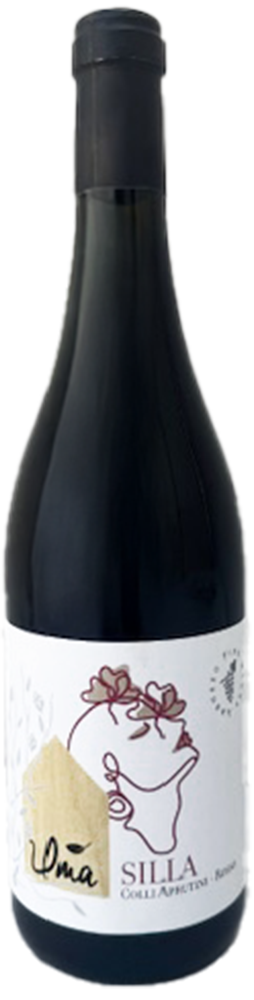 2021 Silla Super Rosso IGP, selected blend Montepulciano and Cabernet Sauvignon 2021 Silla Super Rosso IGP, selected blend Montepulciano and Cabernet Sauvignon