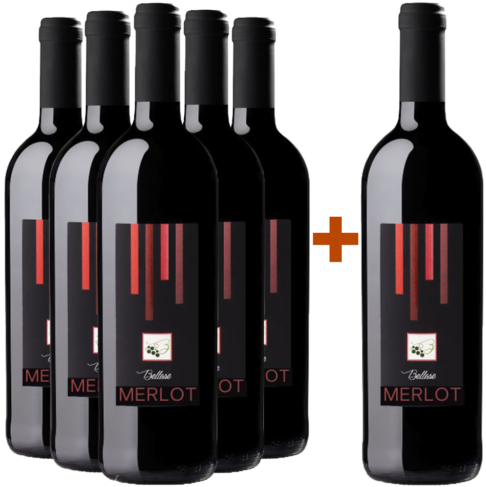 5+1 Merlot Marca Trevigiana IGP
