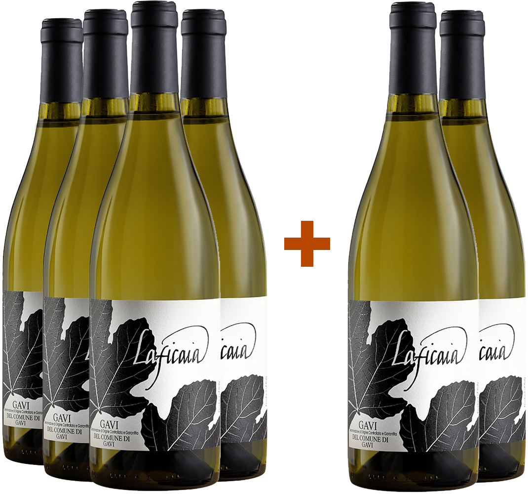 4+2 Gavi del comune di Gavi DOCG