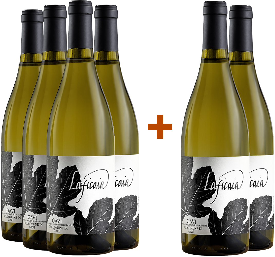 4+2 Gavi del comune di Gavi DOCG 4+2 Gavi del comune di Gavi DOCG