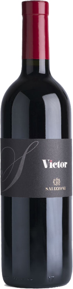 2021 Victor Trentino Superiore DOC 2021 Victor Trentino Superiore DOC
