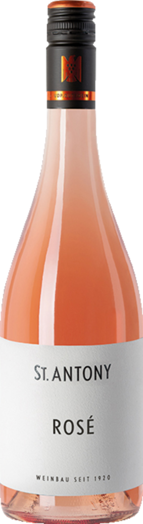 Weingut St. Antony 2024 St. Antony Rosé BIO