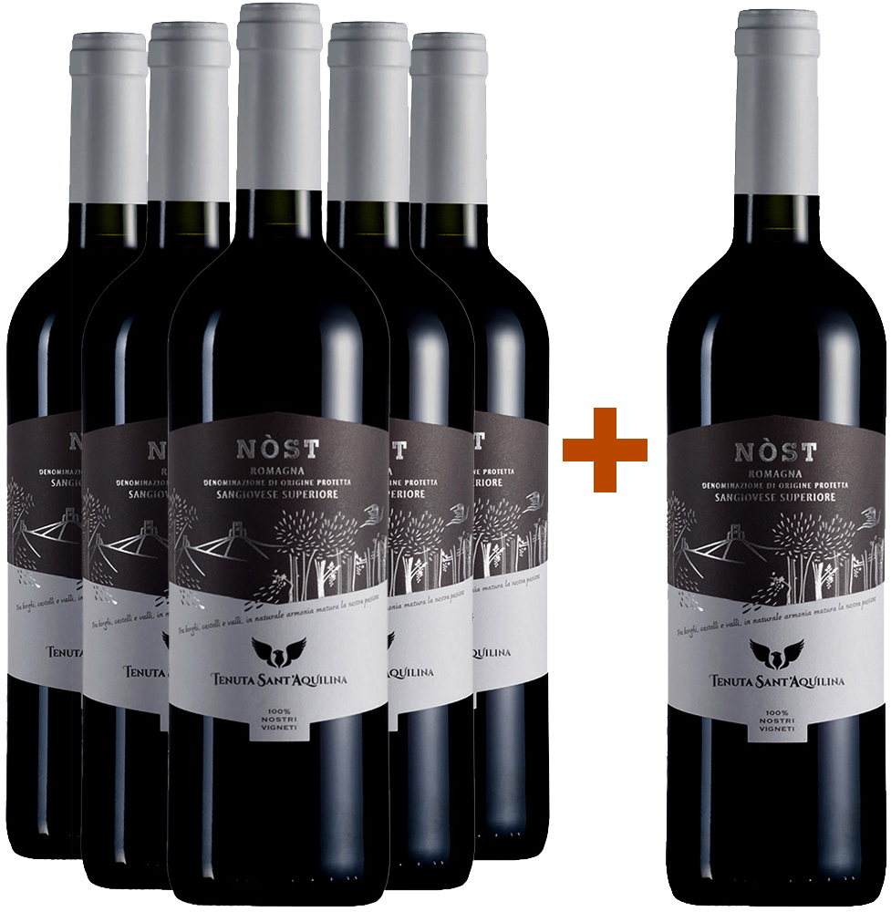 5+1 Nòst Romagna Sangiovese Superiore DOC BIO