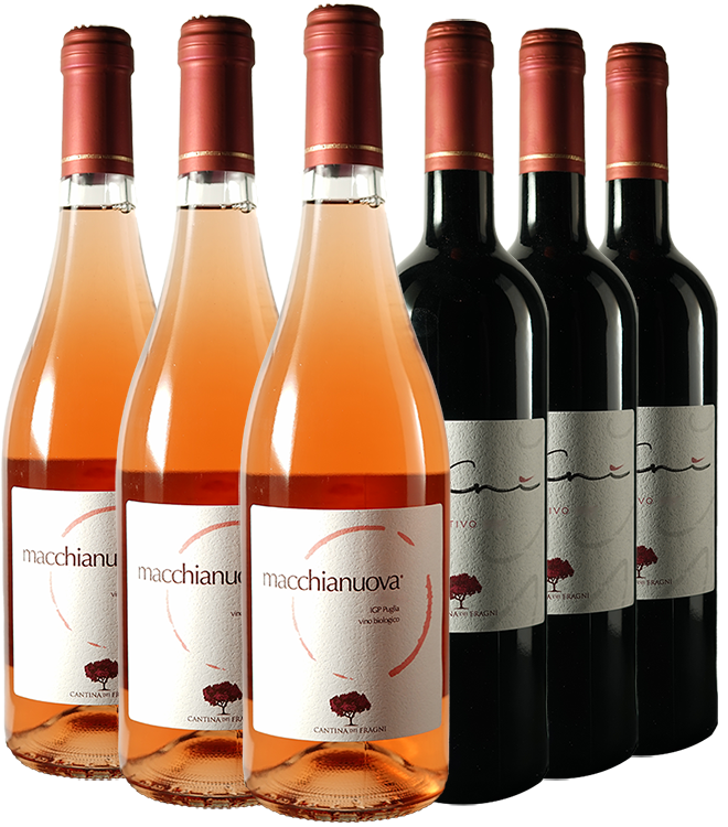 Box Promozionale Cantina Dei Fragni BIO Box Promozionale Cantina Dei Fragni BIO