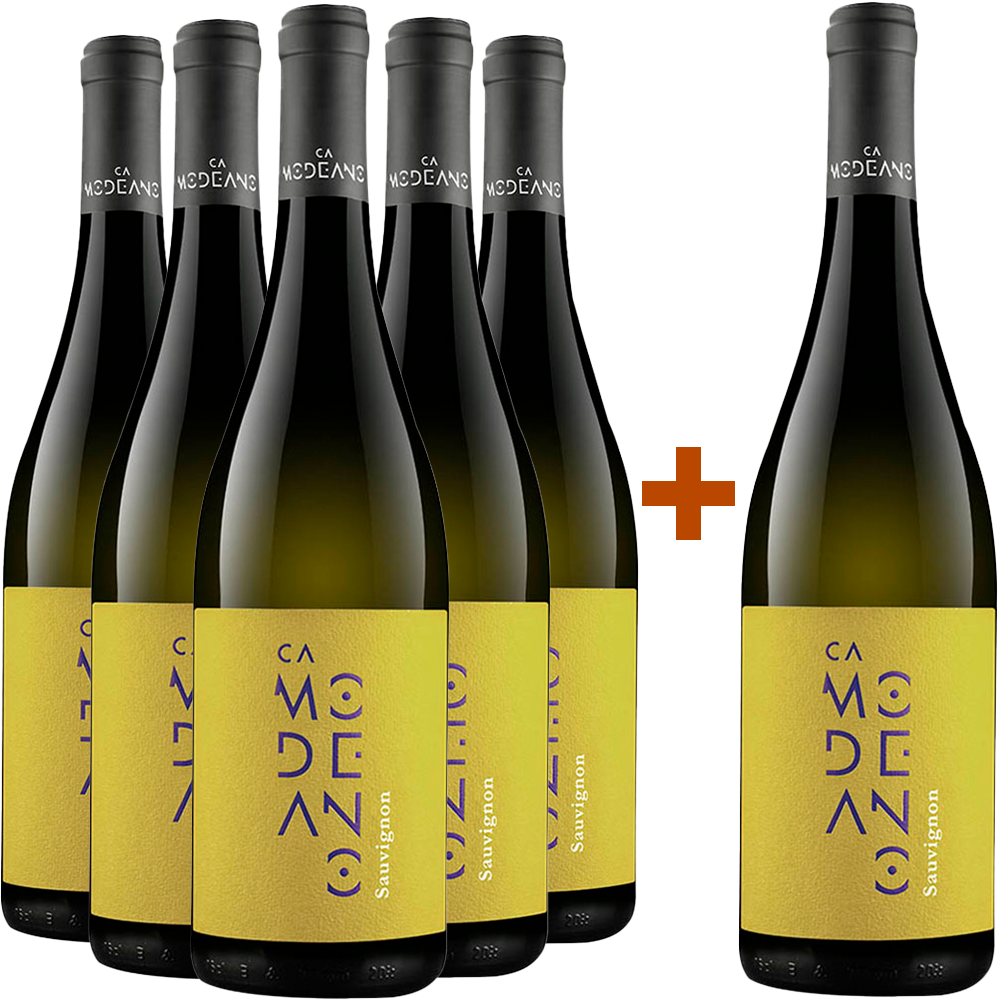 5+1 Sauvignon Friuli DOC