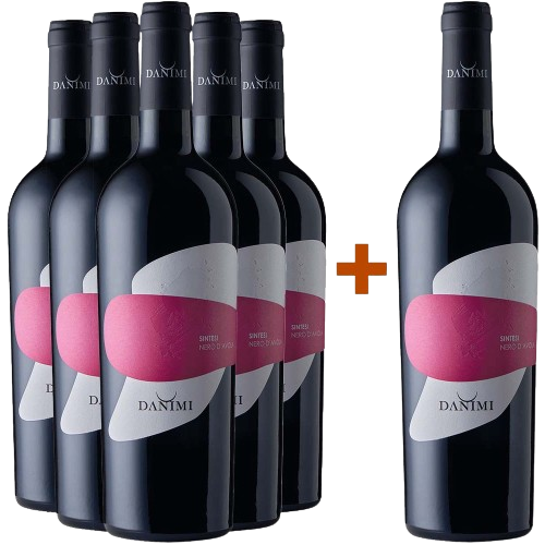 5+1 Sintesi Nero D’Avola Terre Siciliane IGP 5+1 Sintesi Nero D’Avola Terre Siciliane IGP