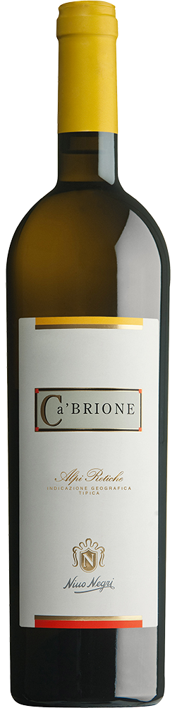 2023 Ca’ Brione Alpi Retiche IGP 2023 Ca’ Brione Alpi Retiche IGP