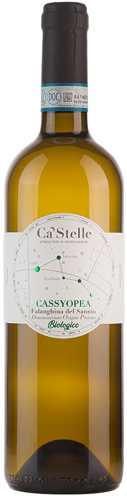 2023 Cassyopea Falanghina del Sannio DOC BIO