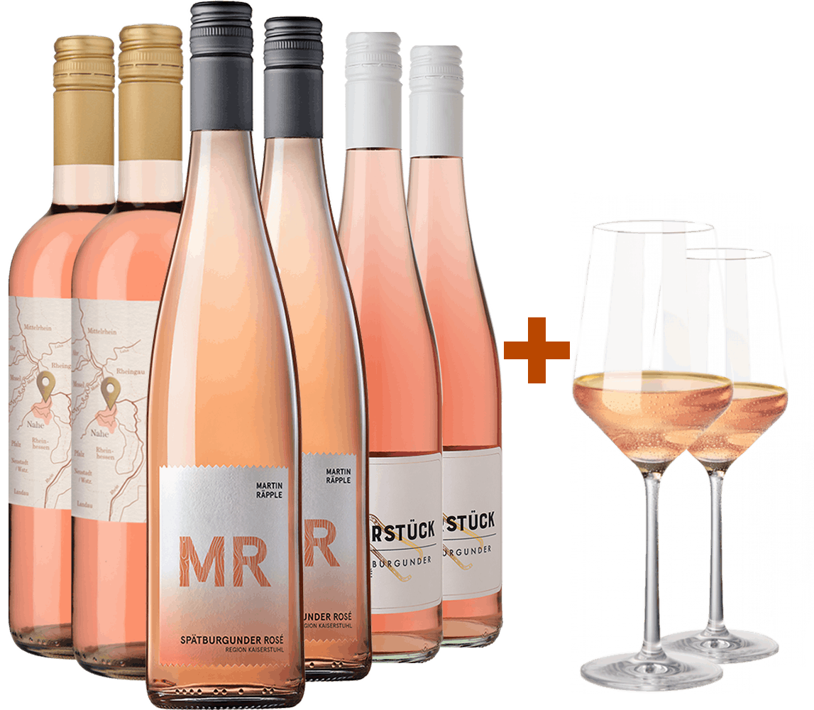 WirWinzer Select Rosé Entdecker Gläser-Paket