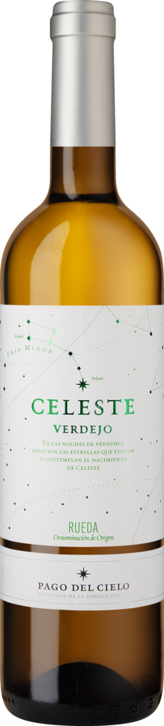 Familia Torres 2024 Pago del Cielo Celeste Verdejo