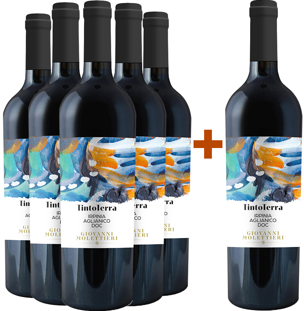5+1 Falanghina Campania IGP