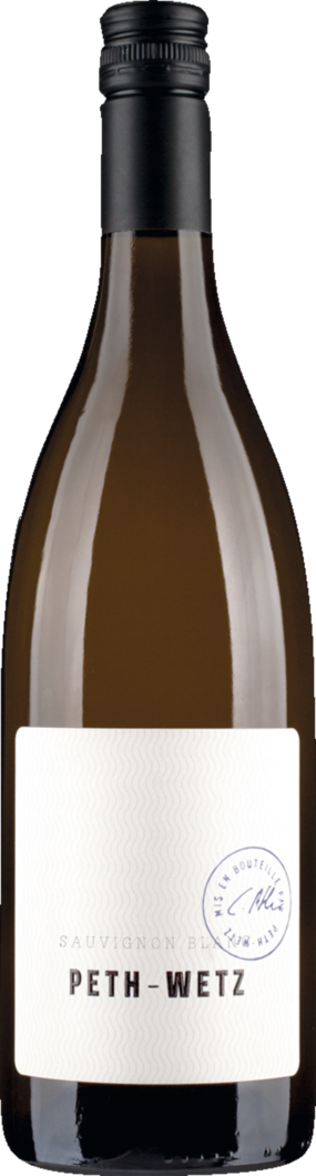 Weingut Peth-Wetz 2025 Peth-Wetz Sauvignon Blanc BIO