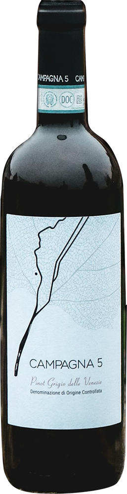 2021 Pinot Grigio Veneto IGP 2021 Pinot Grigio Veneto IGP