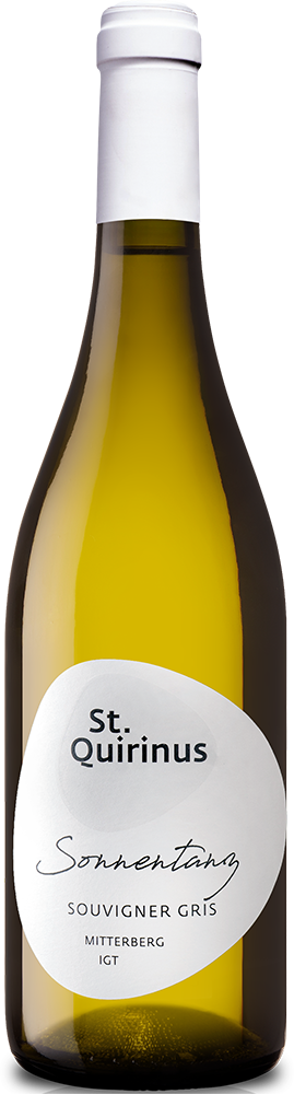 2024 Sonnentanz Souvignier Gris BIO 2024 Sonnentanz Souvignier Gris BIO