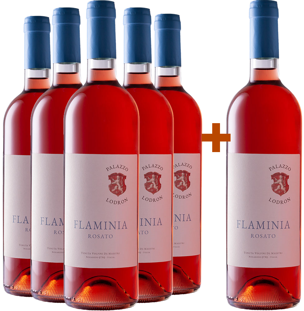 5+1 Flaminia Rosato Vigneti delle Dolomiti IGP