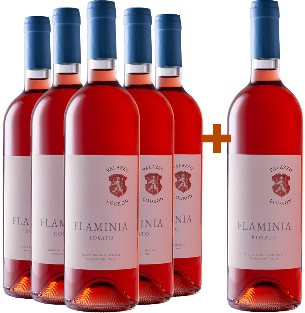 5+1 Flaminia Rosato Vigneti delle Dolomiti IGP 5+1 Flaminia Rosato Vigneti delle Dolomiti IGP