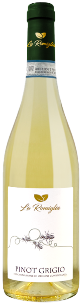 2023 Pinot grigio Venezia DOC 2023 Pinot grigio Venezia DOC