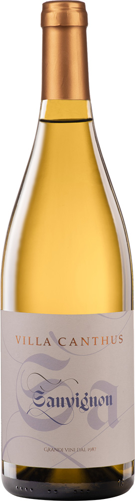 2021 Sauvignon Blanc Venezia Giulia IGP