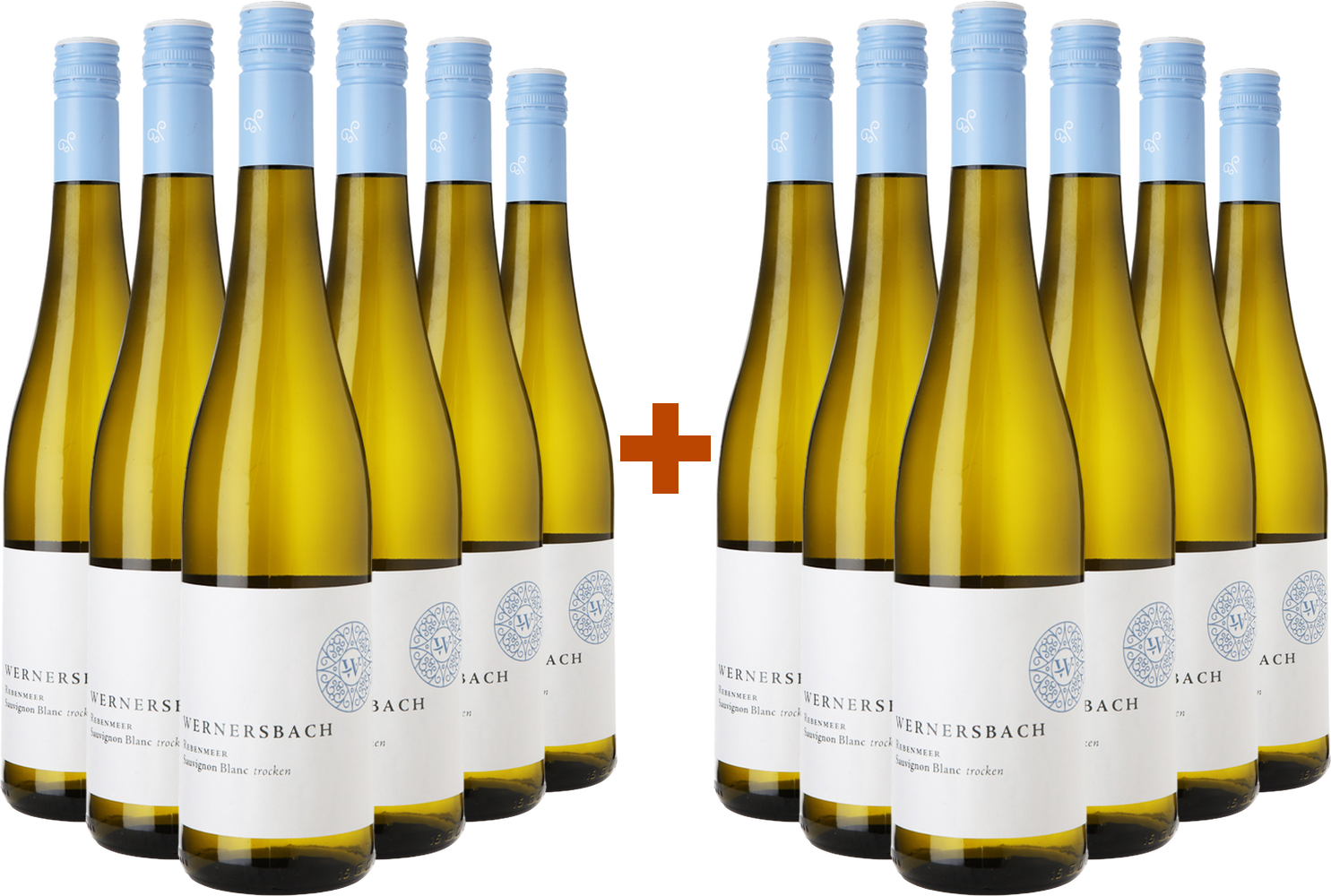 Weingut Wernersbach Back-up: 6+6 Paket Rebenmeer Sauvignon Blanc - Weingut Wernersbach