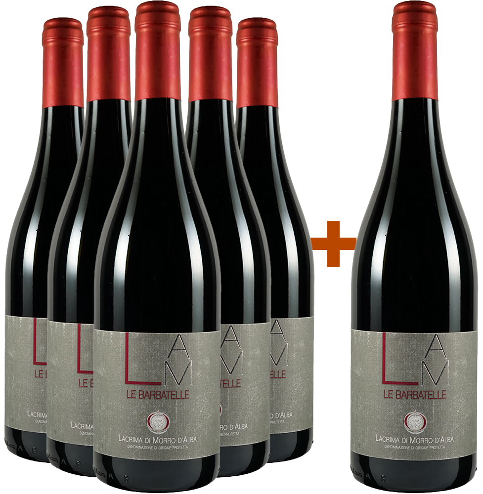5+1 Le Barbatelle Lacrima Morro D'alba DOC  5+1 Le Barbatelle Lacrima Morro D'alba DOC