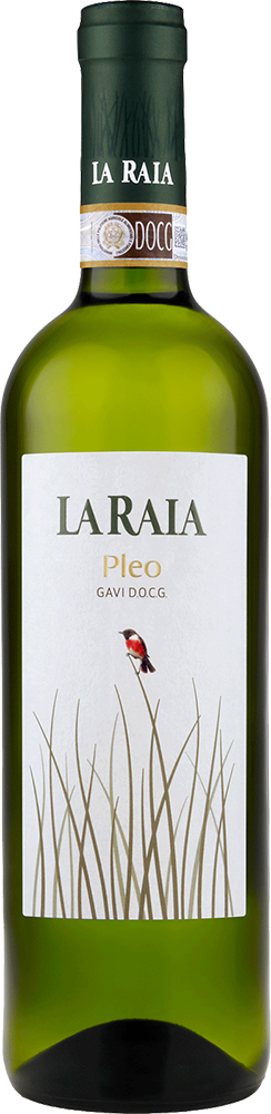 2024 La Raia Gavi Pleo DOCG