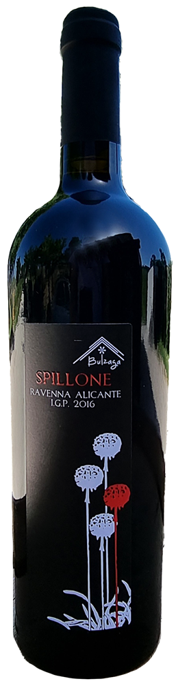2022 Spillone Ravenna IGP BIO