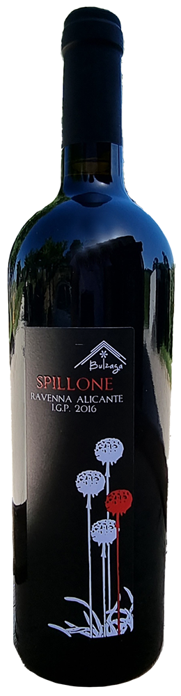 2022 Spillone Ravenna IGP BIO 2022 Spillone Ravenna IGP BIO