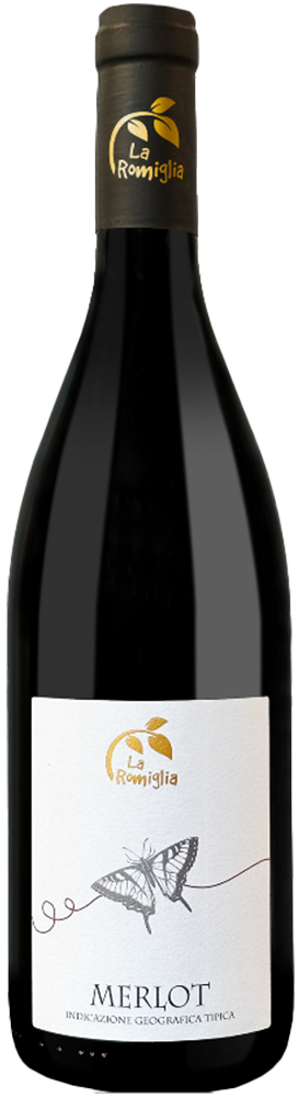 2021 Merlot Veneto IGP 2021 Merlot Veneto IGP