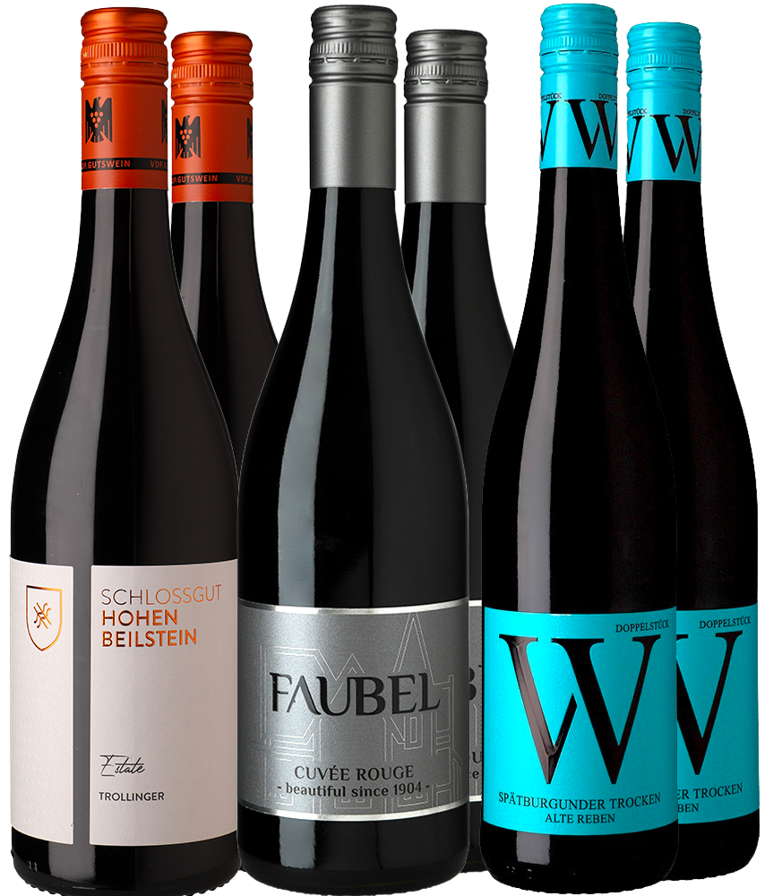 WirWinzer Select Rotwein Sommerwein-Paket
