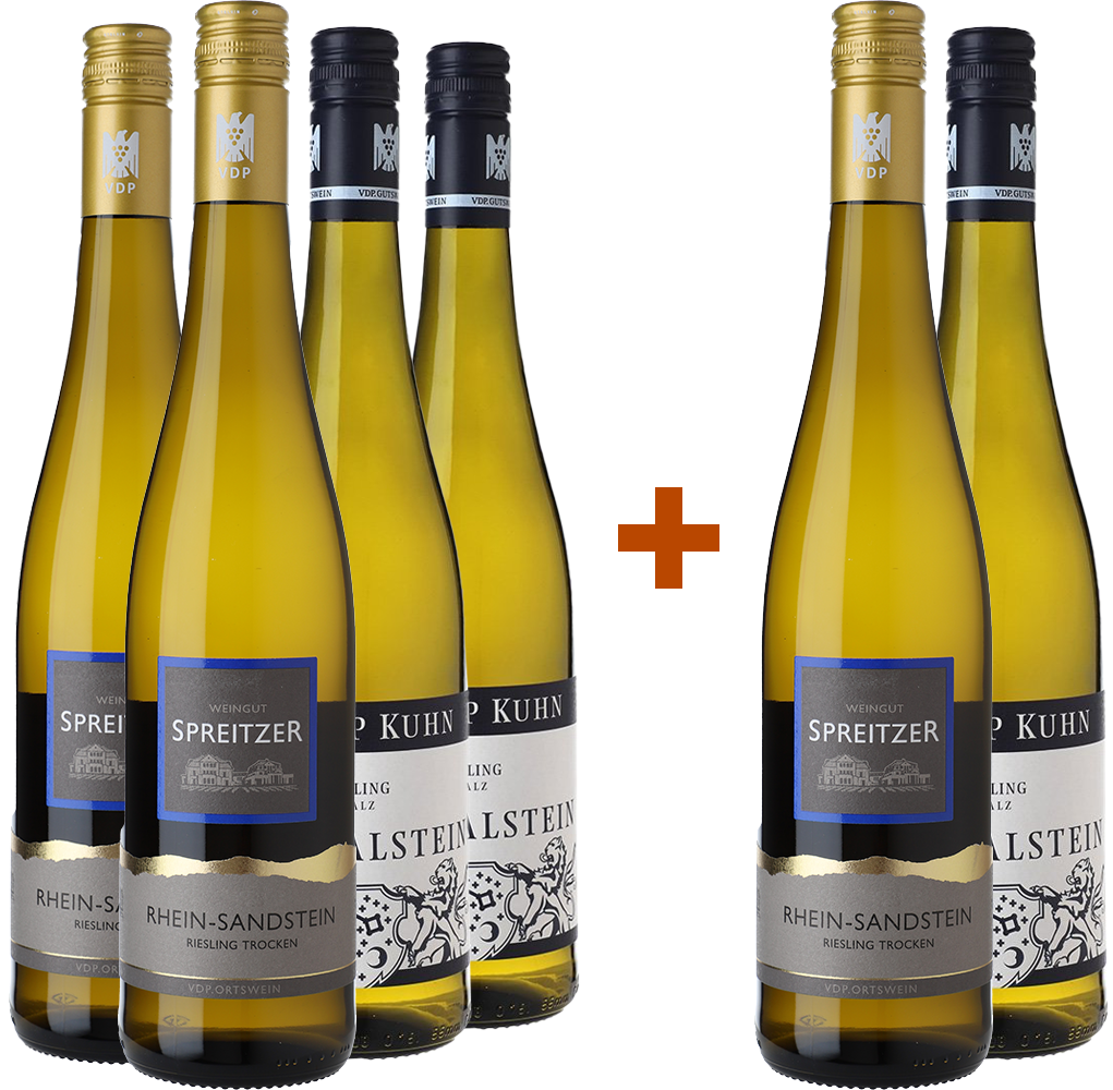 WirWinzer Select 4+2 Paket Riesling